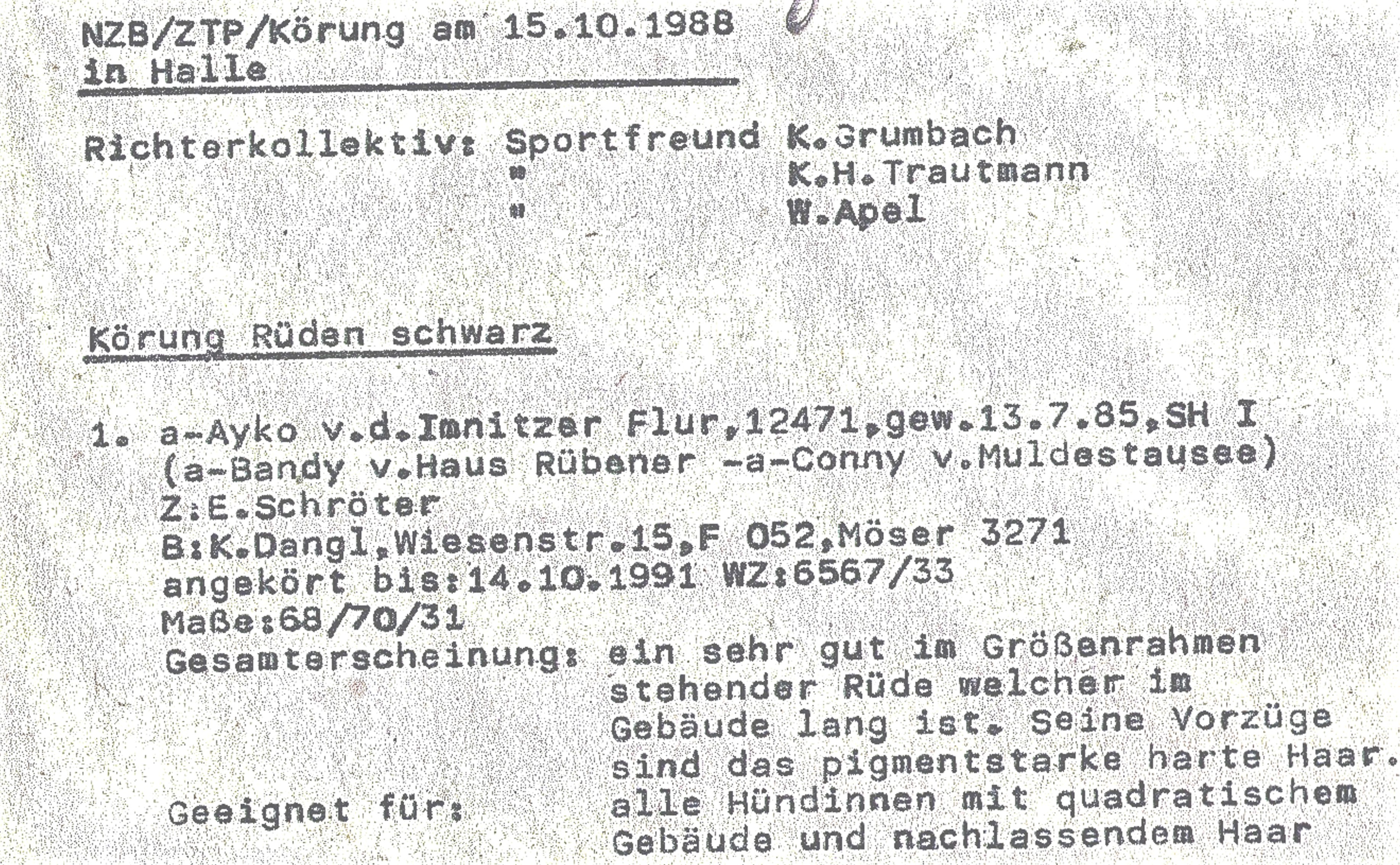 SCHÖNE ZEITEN WAREN ES AUCH, AN DIE ICH MICH GERNE ERINNERE !