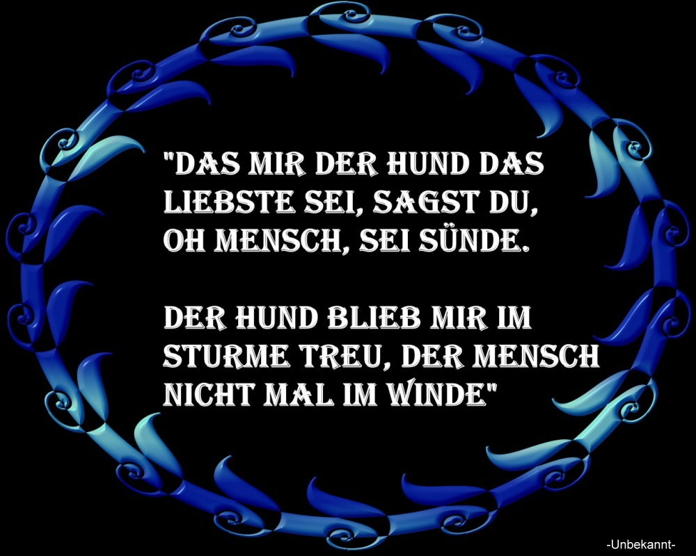 DAS STIMMT ZU 100% !